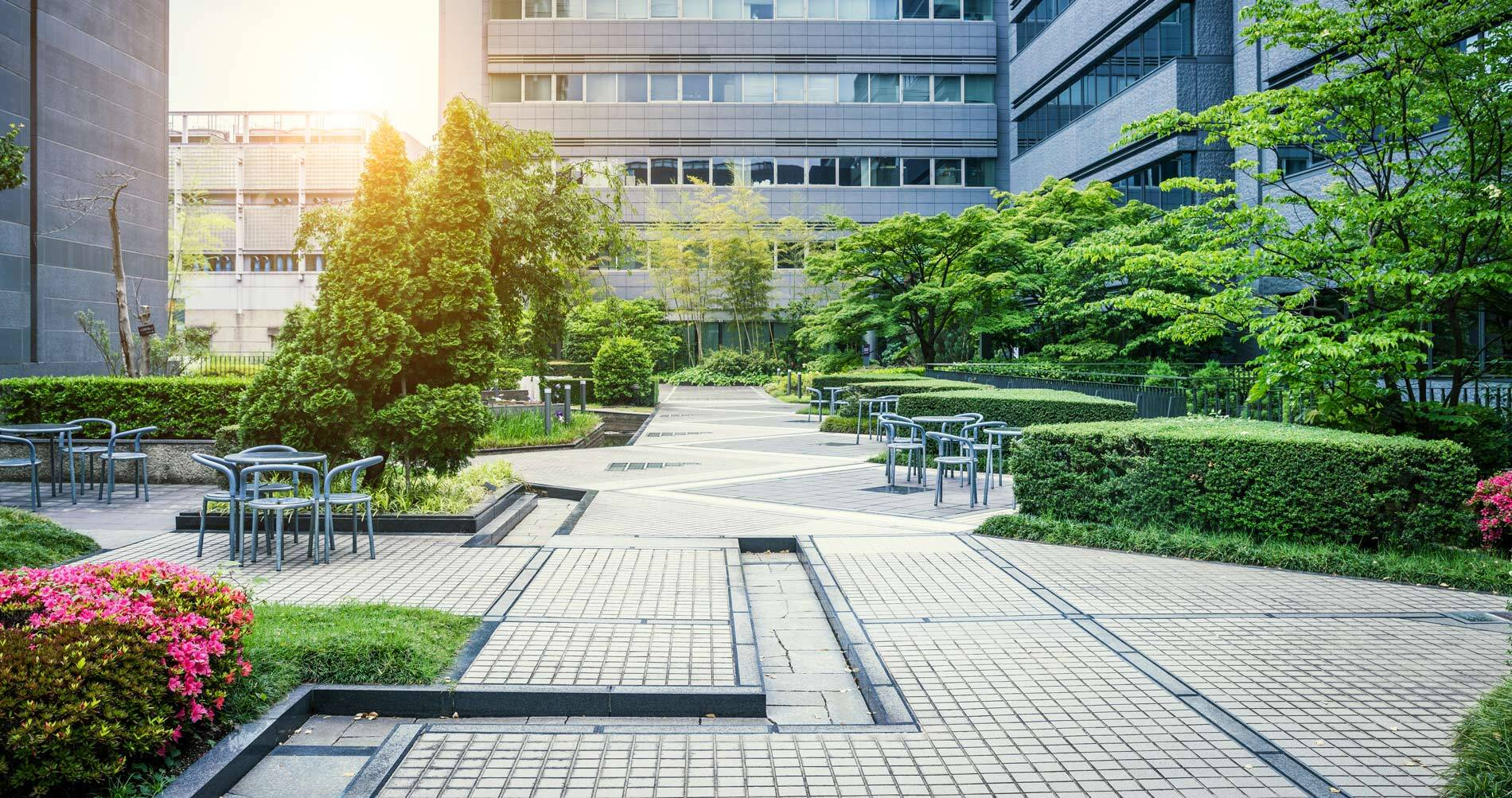 Corporate building with courtyard and plants.